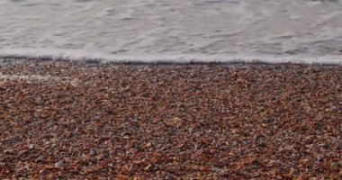 SeaShells Kum ile Sea Shore Beach. Sörf dalgaları