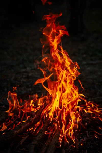 Feu de camp dans la nuit, flammes chaudes — Photo