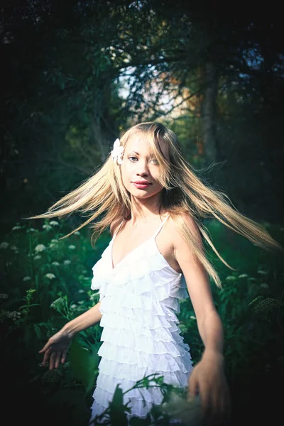 仙女在森林里跳舞 美丽的女人厌倦了白色的夏装 她的头发飘扬在林地的空气中 古旧形象 — 图库照片