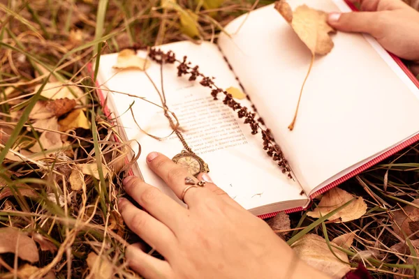 Księga Poezji Leży Jesiennej Trawie Pokrytej Zwiędłymi Jesiennymi Liśćmi — Zdjęcie stockowe