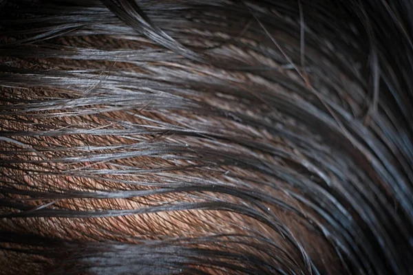 Coloração Cabelo Cabelo Molhado Penteado Curvas Macro Tiro — Fotografia de Stock