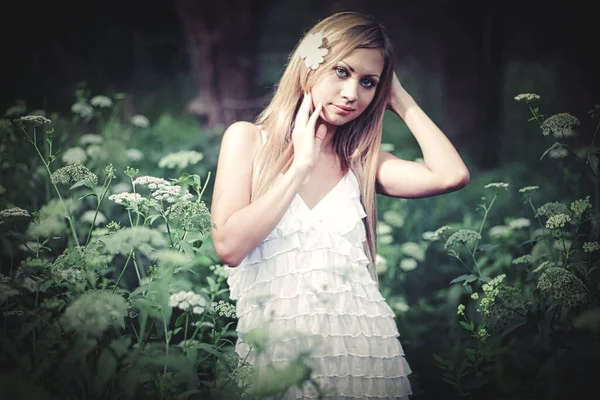 Милая Блондинка Позирует Высокой Траве Лесу Нежная Девушка Одетая Светлое — стоковое фото
