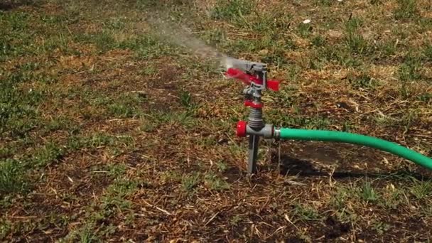 Der Leiter der Bewässerungsanlage sprüht Wasser auf das trocknende Gras — Stockvideo