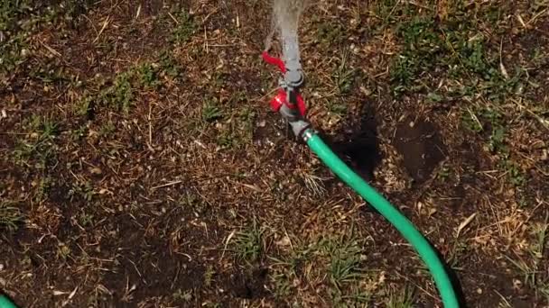 Seca ou falta de água. Aspersor automático está espalhando água sobre grama seca murcha no quintal de verão. Grama de clima árido de quintal. Acima de tiro POV — Vídeo de Stock