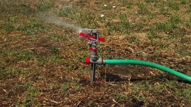 Automatische Beregnungsanlage verteilt Wasser über welkendes trockenes Gras im sommerlichen Hinterhof. — Stockvideo