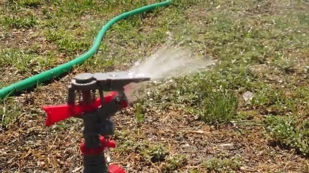 Sprinkler sype vodu do suché trávy ve slomo — Stock video