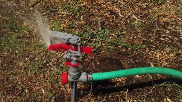 Aspersão regar o gramado seco panning no nível cultivado — Vídeo de Stock