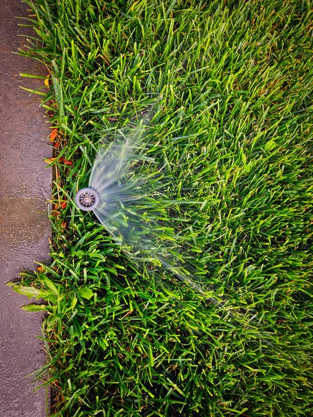 芝生に水をやる裏庭の芝生の自動散水システム 上からの眺め — ストック写真