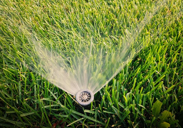 Närbild Bevattningssystem Trädgården Sprinklern Sprider Vatten Över Gräset Copyspace Ovanpå — Stockfoto