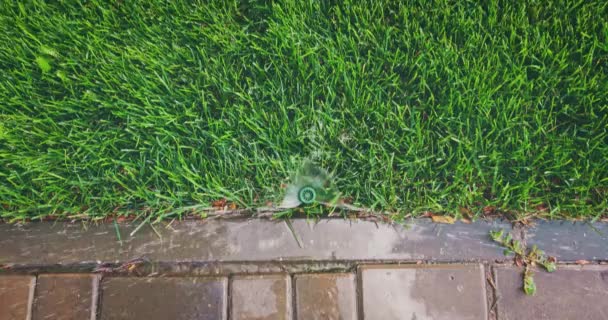 Perbesar dari atas pada sprinkler air yang bekerja — Stok Video