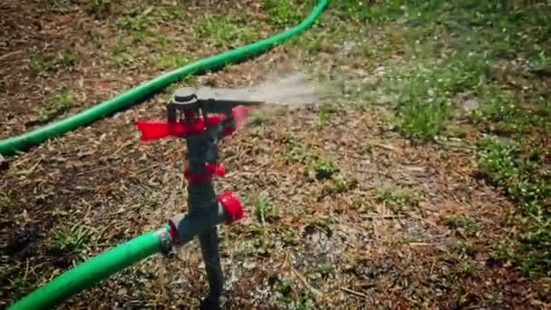 Irrigatore irrigazione sta diffondendo acqua in tutto il prato mezzo asciutto 60 fps slomo — Video Stock