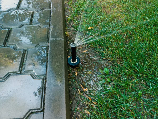 Automatický zavlažovací systém v parku funguje. Sprinkler in park — Stock fotografie