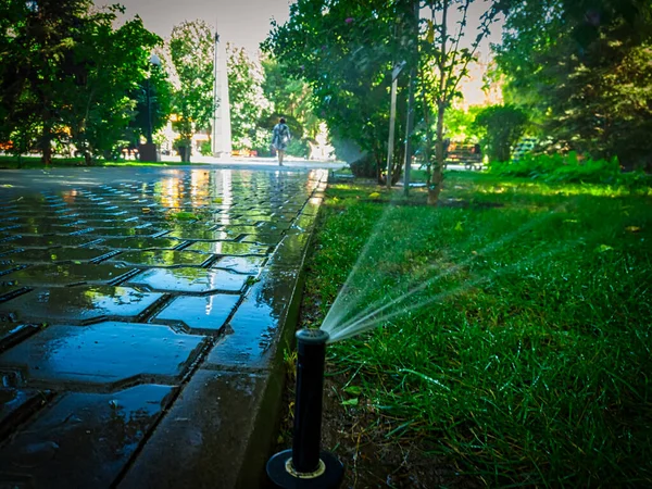 Parktaki otomatik sulama sistemi çalışıyor. Yer seviyesi atışı — Stok fotoğraf