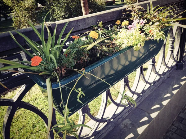 Závěsné květinové záhony v parku upevněné na kovovém plotě. — Stock fotografie