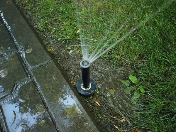 Watering system is working in the park — Stock Photo, Image