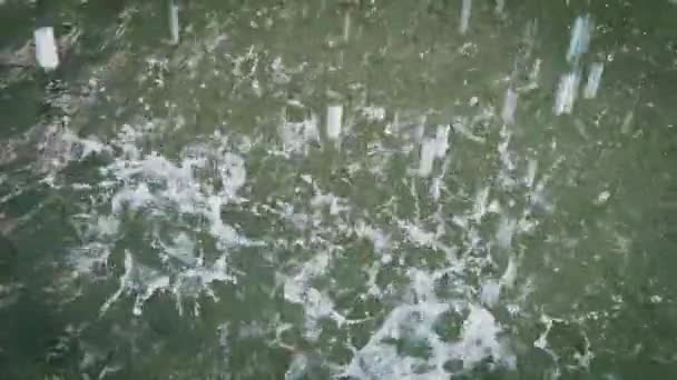 Stänk vatten, kraftigt regn på sjöns yta — Stockvideo