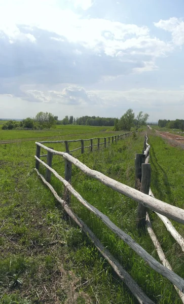 Prachtig zomers landschap — Stockfoto