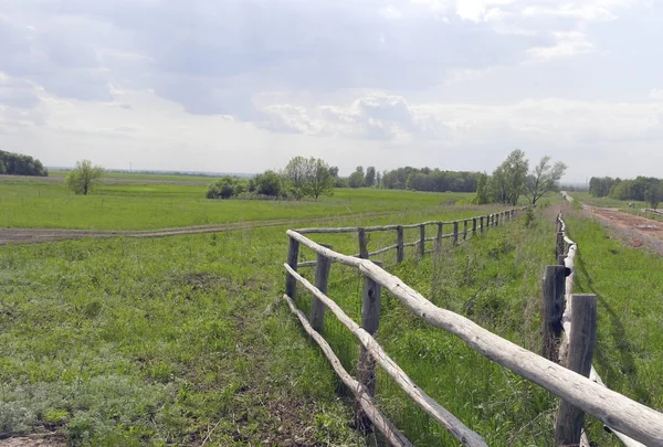 Prachtig zomers landschap — Stockfoto