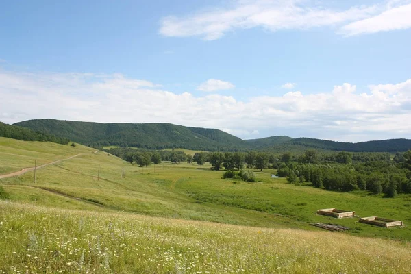 Beautiful summer village landscape — Stock Photo, Image