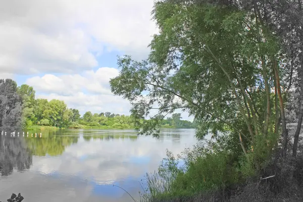 Schöne Sommerlandschaft — Stockfoto