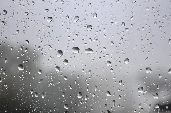 Droppar regn på fönstret — Stockfoto
