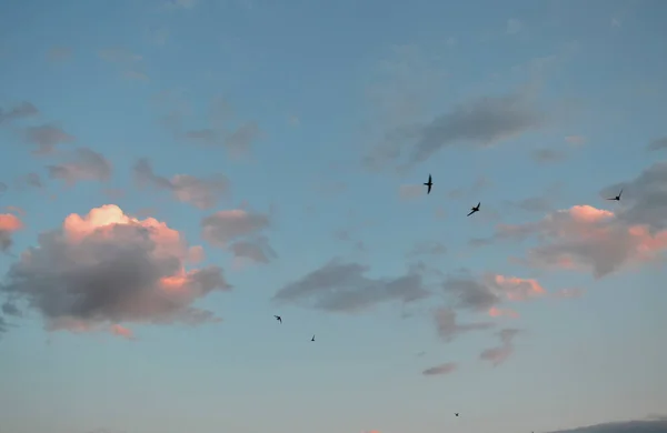 Bellissimo cielo serale — Foto Stock