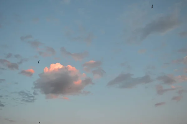 Bellissimo cielo serale — Foto Stock