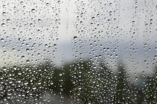 窓に雨が降り — ストック写真