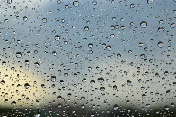 Drops Rain Window Rainy Day Shallow Dof — Stock Photo, Image