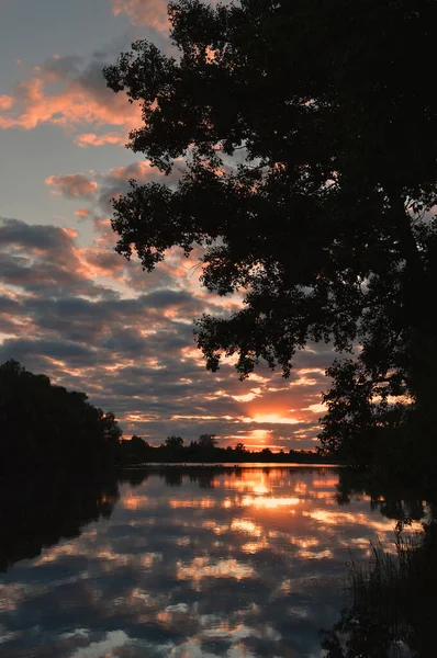 Schöne Abendlandschaft — Stockfoto