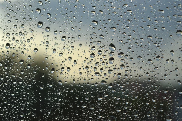 窓に雨が降り — ストック写真