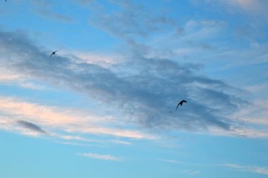 Bulutlu güzel bir akşam göğü