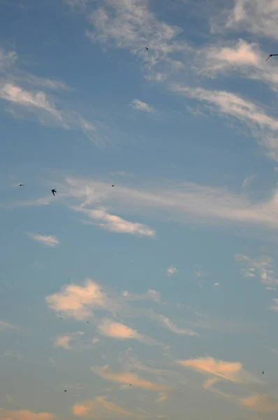 Bella eveing cielo con nuvole — Foto Stock