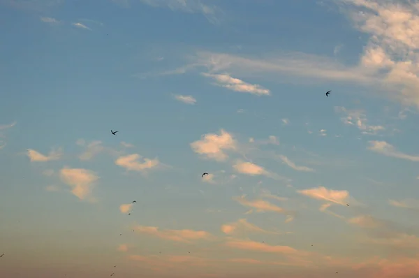 Bella eveing cielo con nuvole — Foto Stock