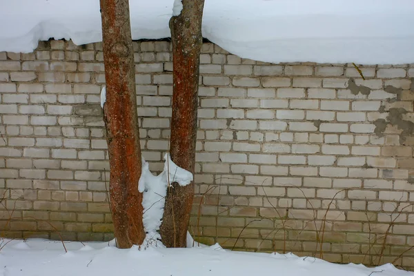 Pared Ladrillo Blanco Invierno Cesis Letonia — Foto de Stock