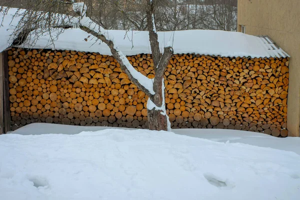 Brennholz Winter Gestapelt Cäsis Lettland — Stockfoto