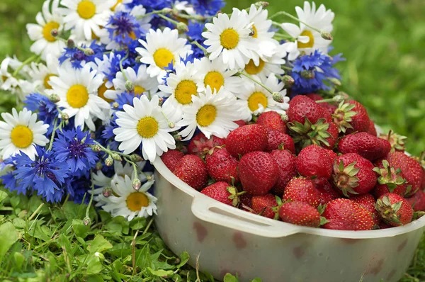 Plastic Bowl Strawberrry Next Wild Flowers — Stock Photo, Image