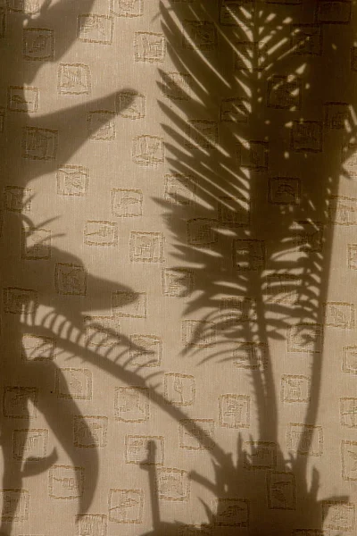 Curtains with silhouettes of houseplants. Abstract background. Shadow is dark area produced by object coming between rays of light and  surface.