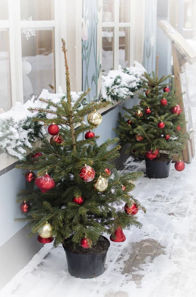 Dva Vánoční Stromky Barevné Koule Zdobí Vánoční Stromeček Zdobené Vánoční — Stock fotografie