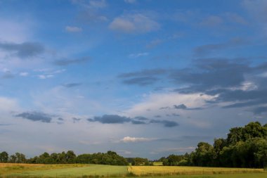 Yaz yatay, çayır, ahşap ve bulutlu mavi gökyüzü. Letonya klasik kırsal manzara.