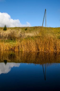 Güneşli bir günde nehir ve çimlerin sonbahar manzarasına bakın. Sonbahar günü nehir kıyısında çimenler. Sudaki sonbahar otlarının yansıması. Letonya 'da sonbahar. Renkli ağaçlar, sarı çimenler ve nehirle sonbahar manzarası. Nehirde yansıma.