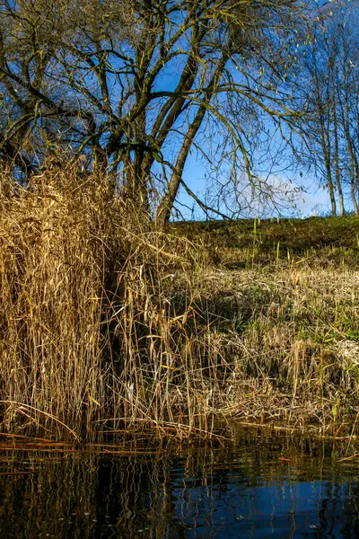 Blick Auf Die Herbstlandschaft Mit Flüssen Und Bäumen Sonnigen Tagen — Stockfoto