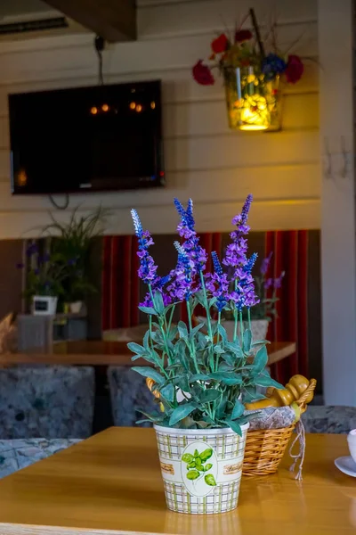 Décoration Florale Dans Café Lettonie Des Fleurs Dans Vase Café — Photo