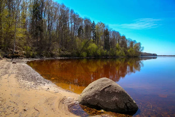 Природная Большая Река Даугава Пейзаж Природными Большими Камнями Руинами Латвии — стоковое фото