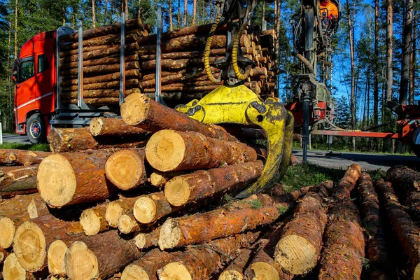 Kran Wald Belädt Stämme Den Lkw Holzernte Und Holztransport Wald — Stockfoto