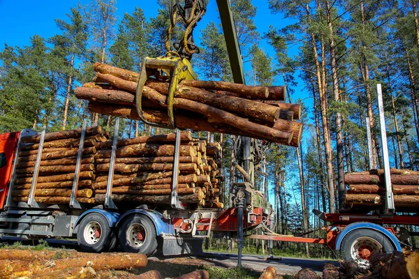 Gru Nel Bosco Carico Tronchi Nel Camion Raccolta Trasporto Legname — Foto Stock