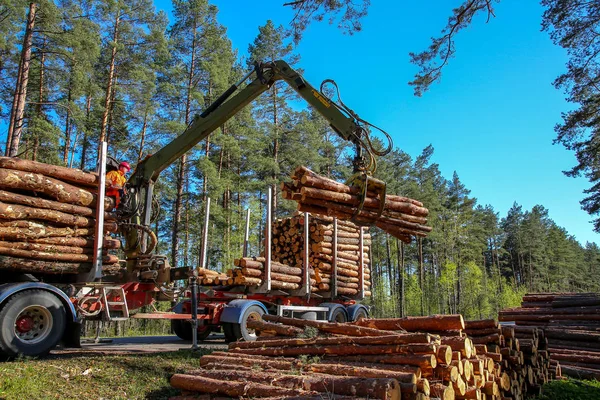 Metsän Nosturi Lastaamassa Lokeja Autoon Nosturinkuljettaja Lastaamassa Lokeja Kuorma Autoon — kuvapankkivalokuva