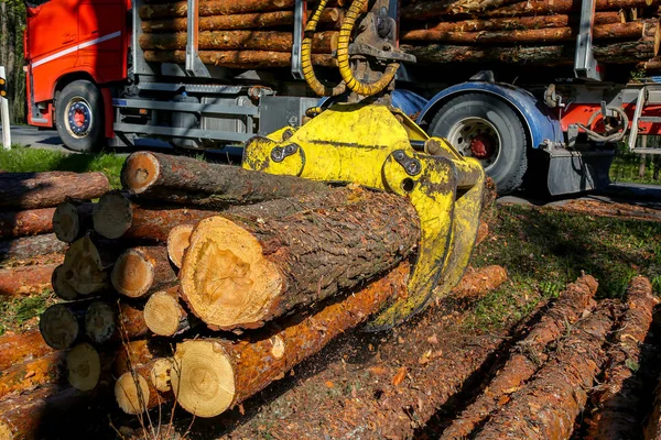 Gru Nel Bosco Carico Tronchi Nel Camion Raccolta Trasporto Legname — Foto Stock