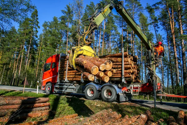 Crane in forest loading logs in the truck. Crane operator loading logs on to truck on a nice spring day. Timber harvesting and transportation in forest. Transport of forest logging industry and forestry industry