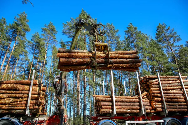 Kran Skogen Lastar Stockar Lastbilen Skogsavverkning Och Skogstransport Transport Skogsavverkningsindustri — Stockfoto